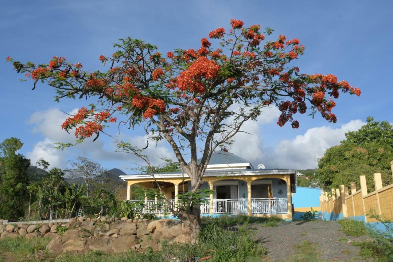 Villa Stenella بويانت المظهر الخارجي الصورة
